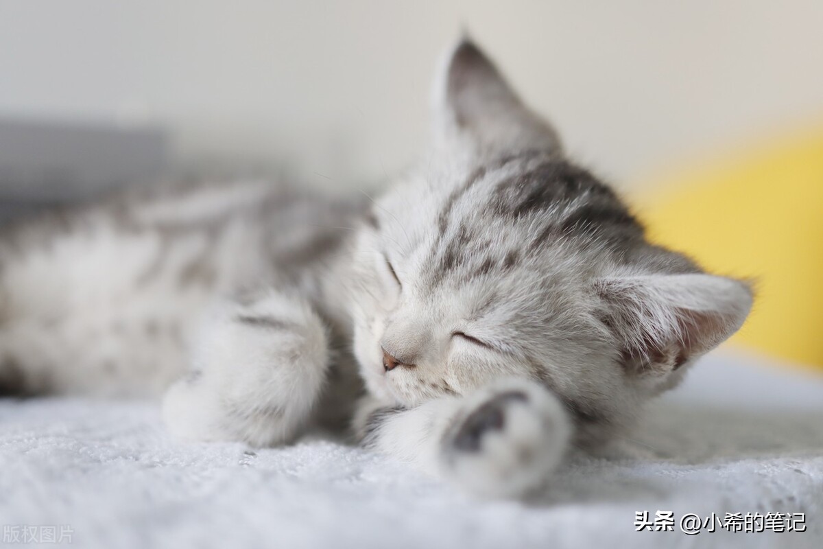 心里有事睡不着失眠怎么快速入睡,失眠按哪个部位可以快速入睡图示