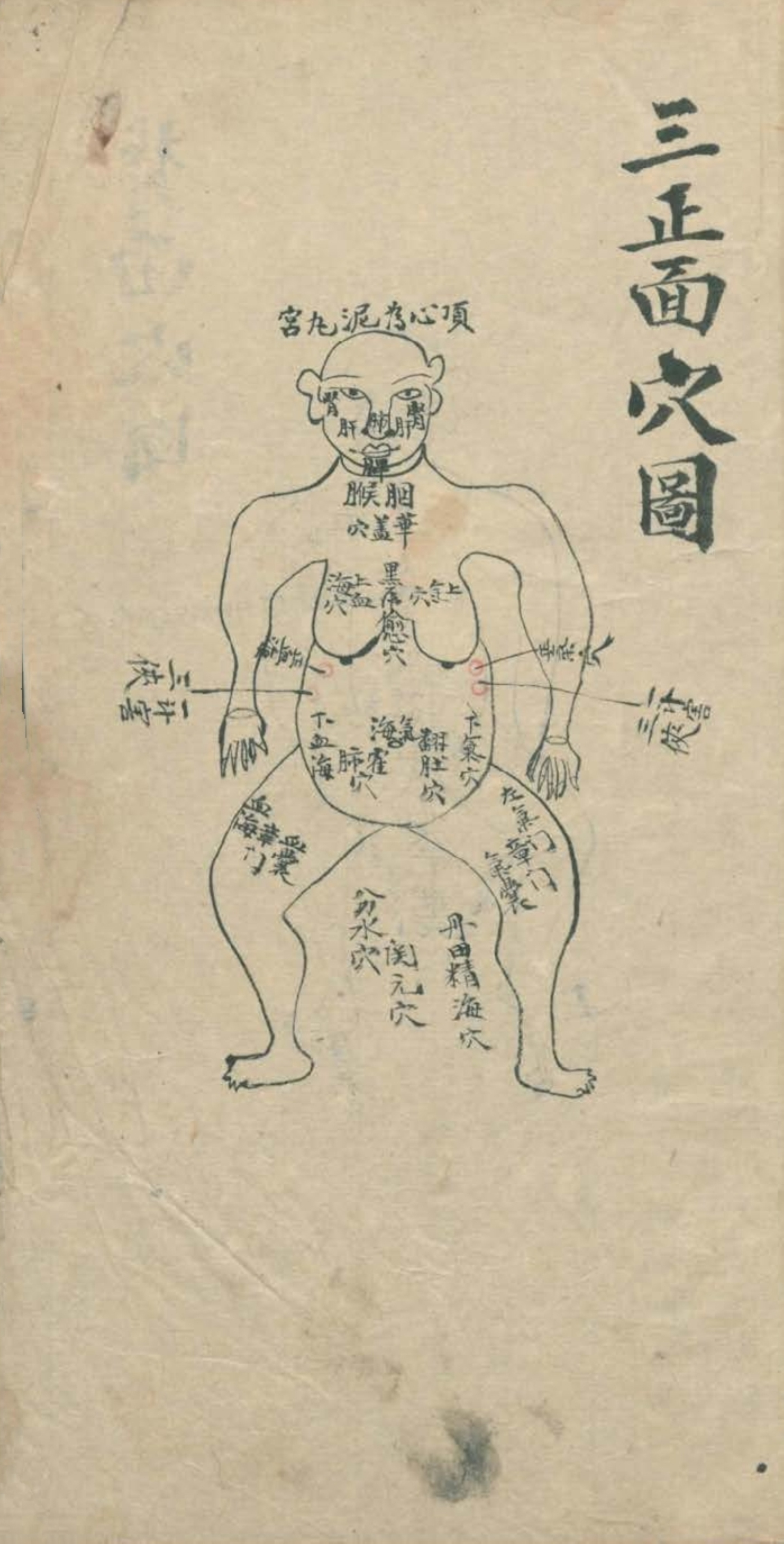 最实用的跌打药方,祖传跌打秘方100首