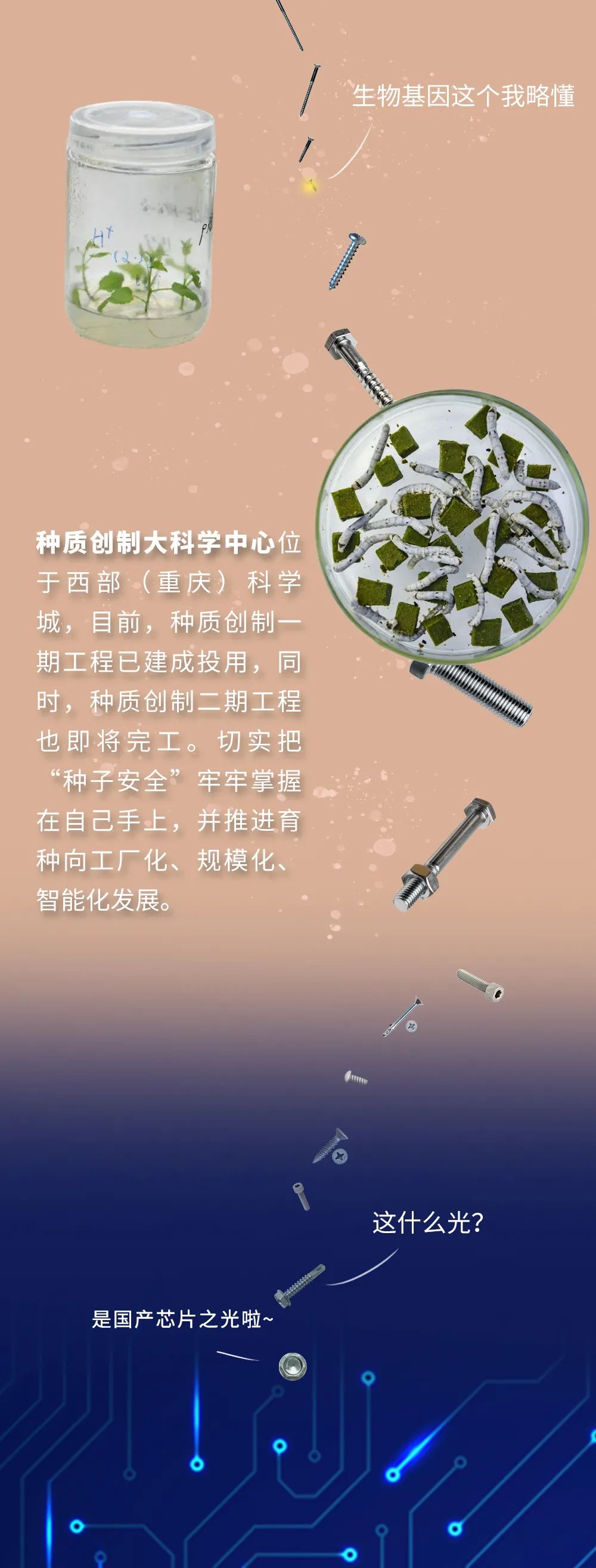 科学城创业补贴,武汉东湖高新大学生创业贷款