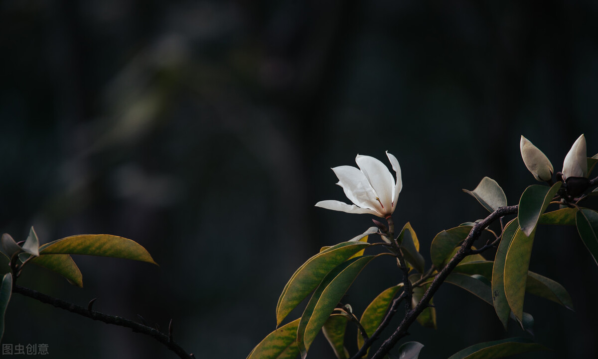 门不当户不对的婚姻，只能眼睁睁看着老公吃喝嫖赌而没有办法