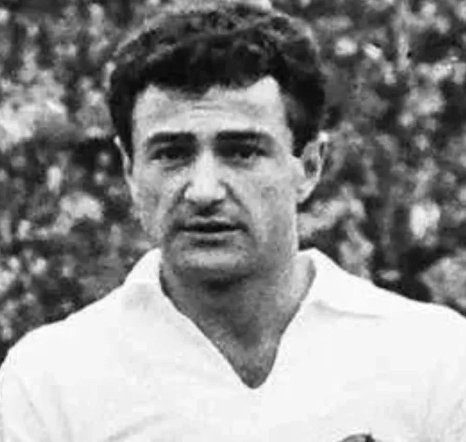 南斯拉夫昔日的辉煌,南斯拉夫男篮众星云集