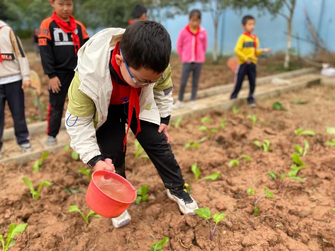 为家乡打call歌曲,为家乡打call