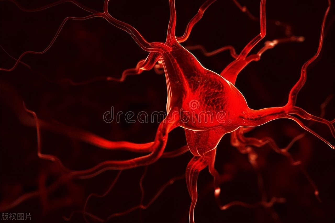 引起癫痫发作的原因有哪些呢,引起癫痫病发病的原因都有哪些