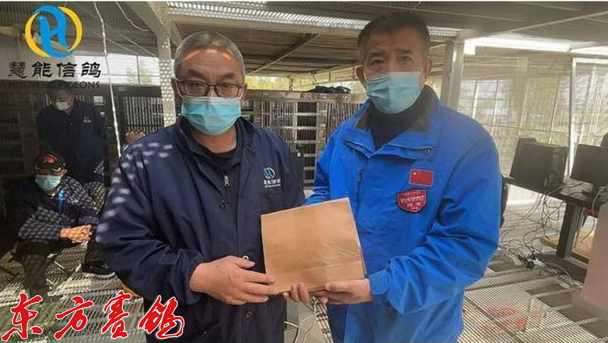 21年惠能秋棚决赛获奖鸽照片,慧能信鸽秋棚直播