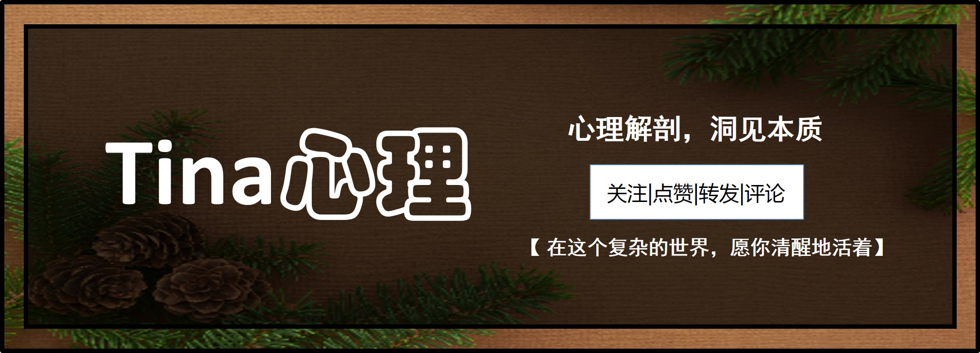 做自媒体挣钱的网站有哪些,做一个赚钱的个人ip
