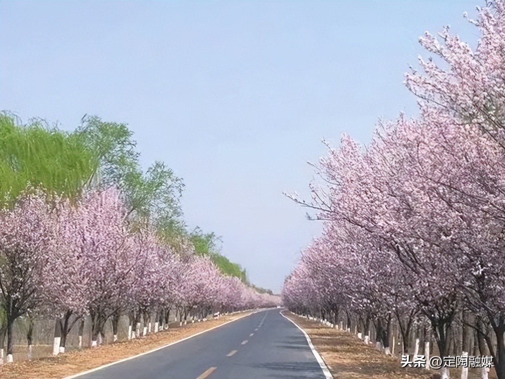 赏美景观非遗,赏美景尝美食