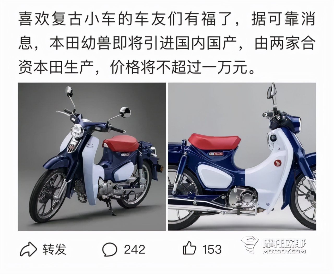 国产什么时候出本田幼兽,第二批本田幼兽