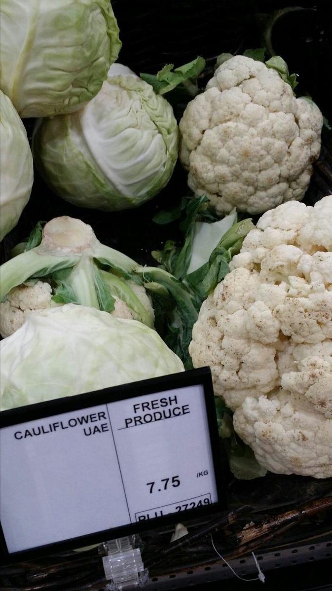 中国人在迪拜种菜产量,中国人在迪拜集装箱种菜