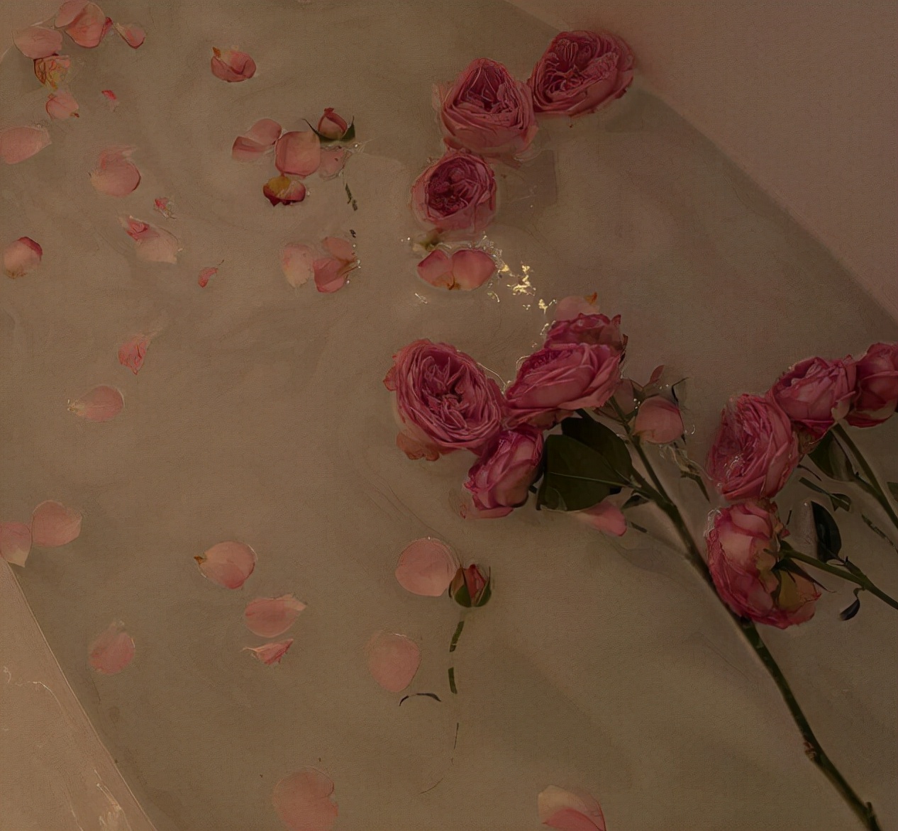 情感文案活出自己的风景,情感文案一朵花