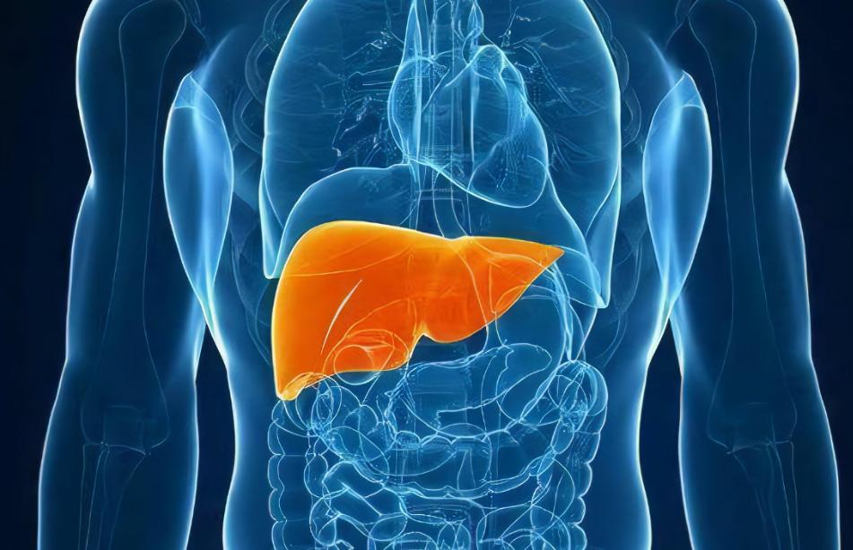 从秒男到持久作战，仅差3步！中医教你兴阳事，持久作战猛如虎