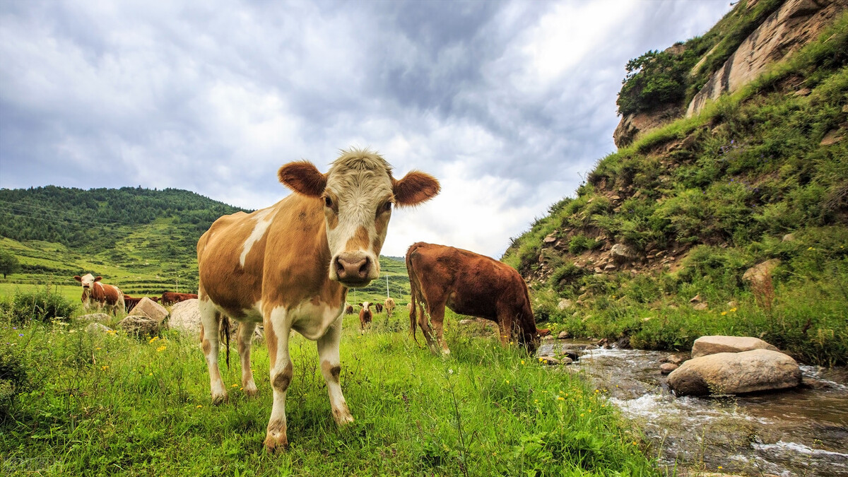 带你看看忻州的风景,忻州古景