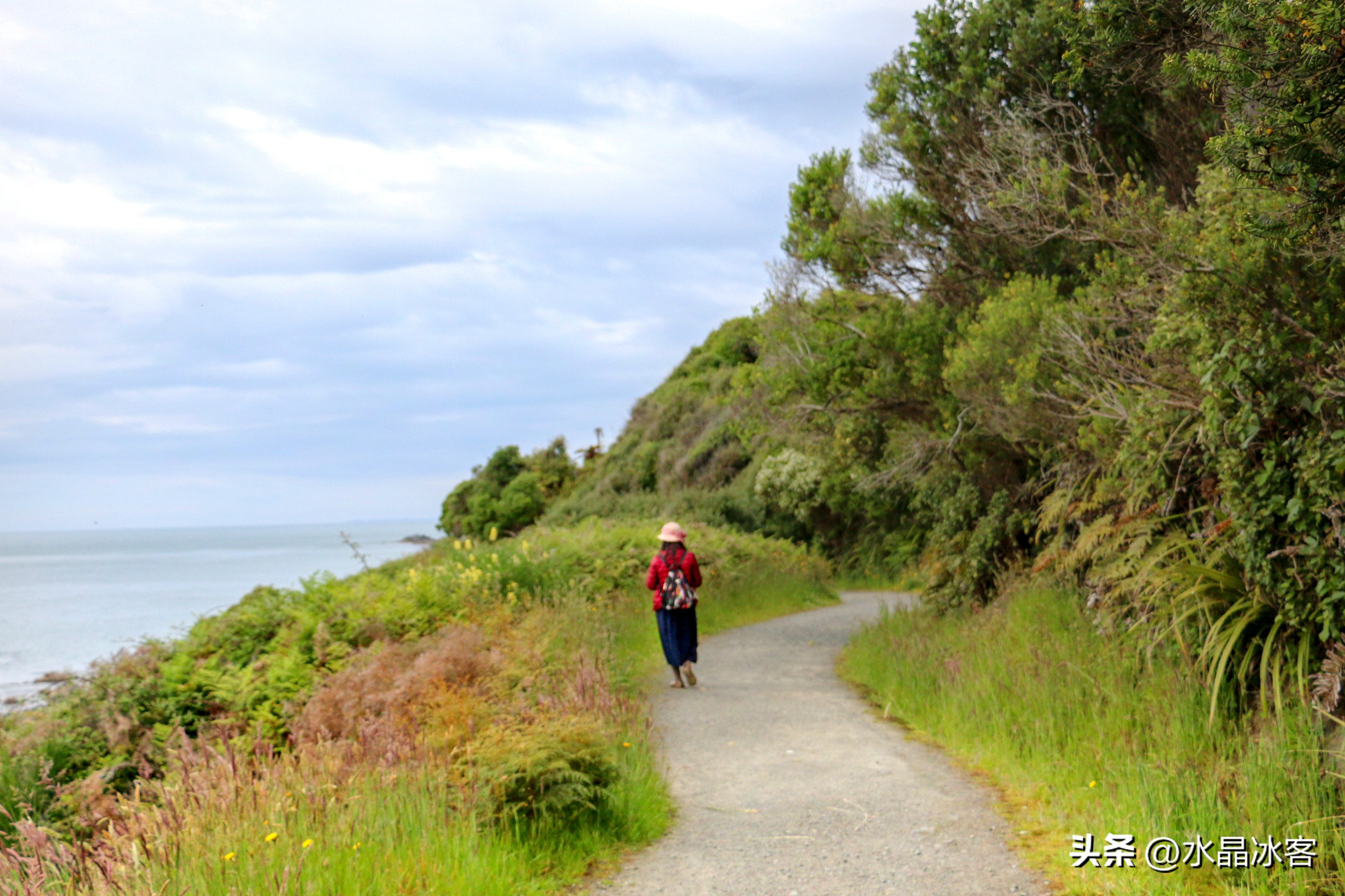南岛新西兰之旅,新西兰之南岛