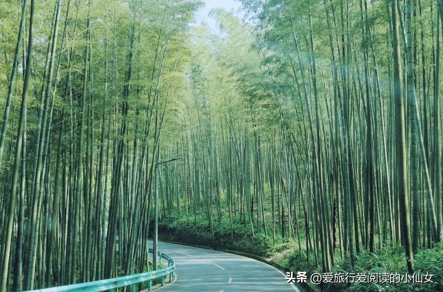 蜀南竹海自然生态景区,蜀南竹海云雾缭绕人间仙境