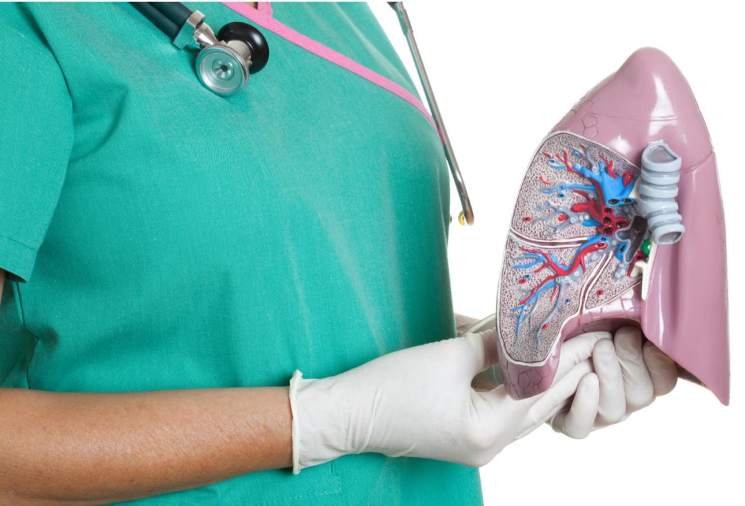 查出肺结节吃什么药好得快,查出肺结节需要停心脏病的药吗