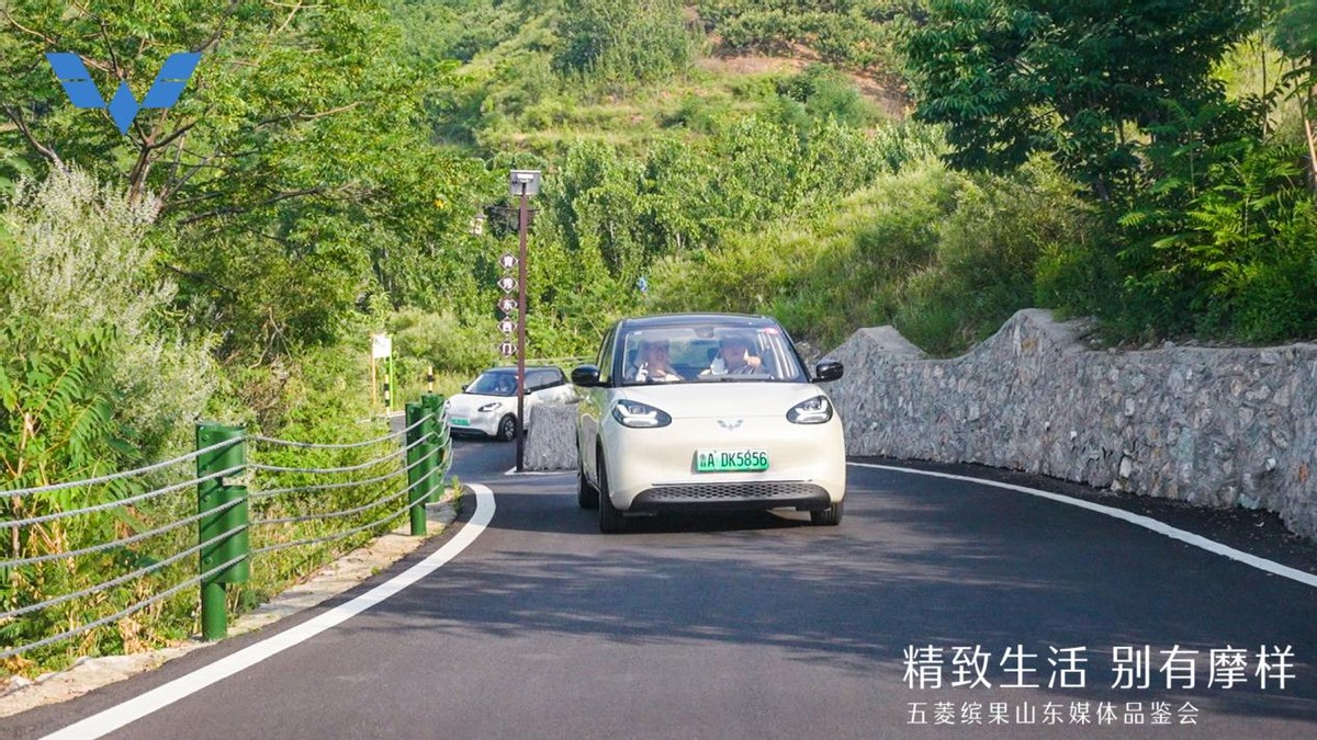 五菱缤果新款缺点,五菱缤果代步车