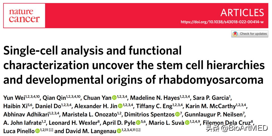 横纹肌肉瘤干细胞可以治吗,横纹肌肉瘤自体干细胞移植