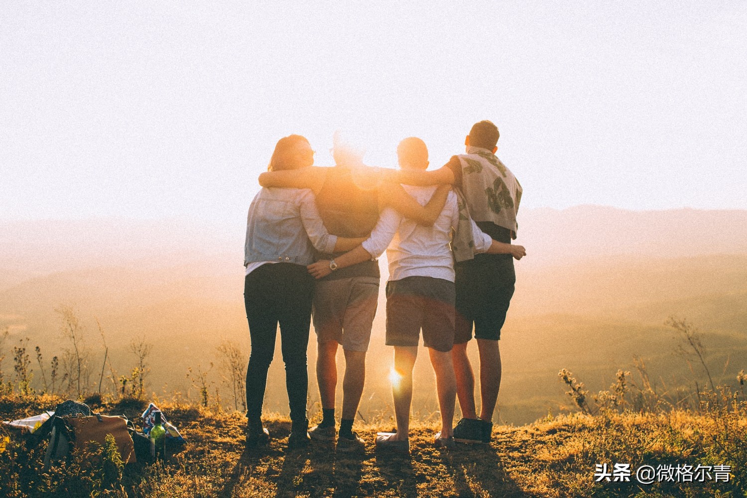 团体咨询与治疗：抱团取暖，彼此成就自我之路