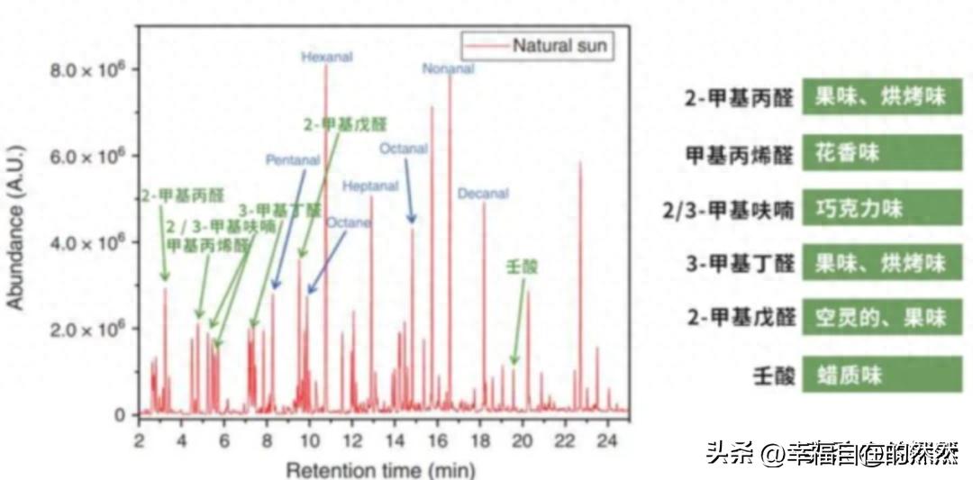 羽绒被太阳晒能杀菌吗,羽绒被洗后晒干有黄渍