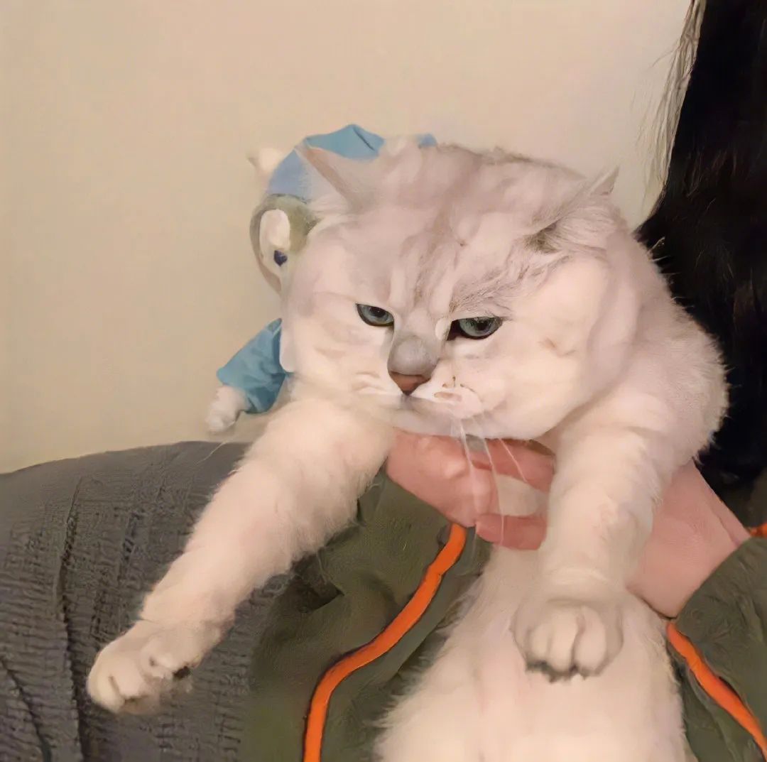 好看的情侣头像单个,好看的情侣头像大全超清