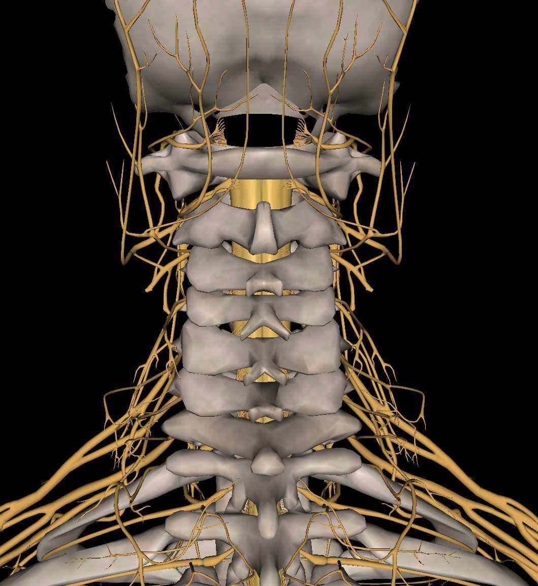 中医针灸治疗颈椎病原理,颈椎病针刀按摩针灸哪种方法好
