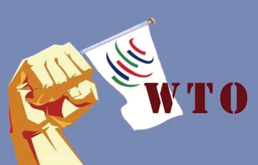 世界经济形势对外贸出口的影响,我国对外贸易的宏观经济现状