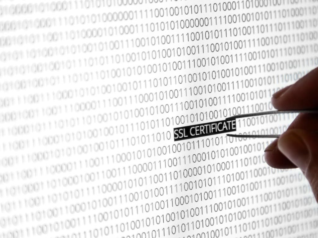 ssl安全认证有必要吗,ssl安全证书有哪些