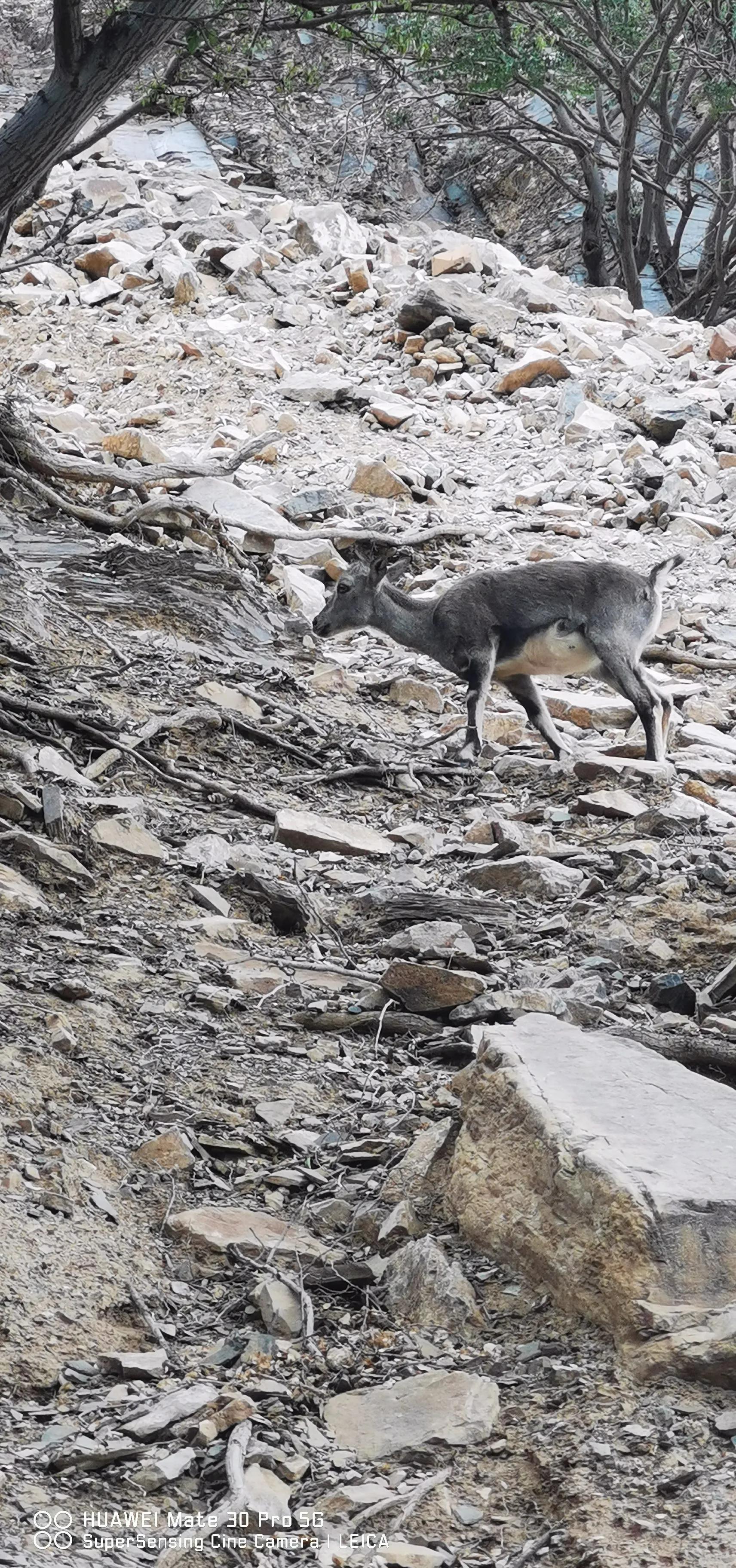 银川我来了视频,宁夏我来了完整视频