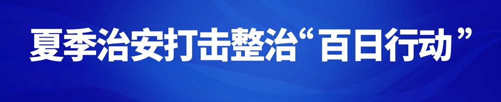 公安部谈百日行动网络安全,全市公安机关亮剑百日行动方案