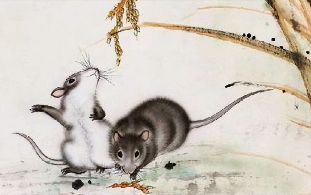 最佳的财运生肖配对是什么,同生肖配对也很幸福的生肖