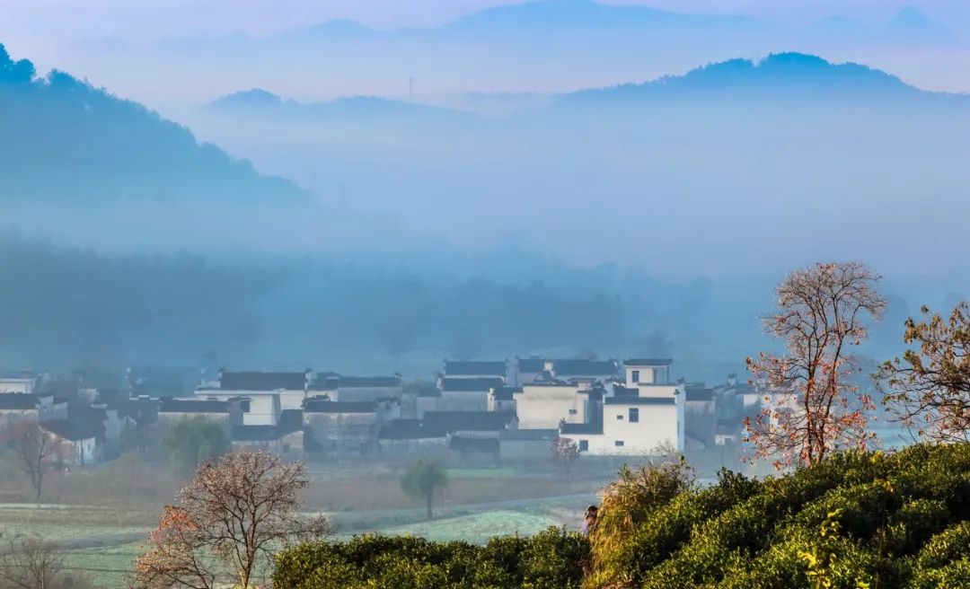 精美的十首诗词,淡泊修心禅意诗大全