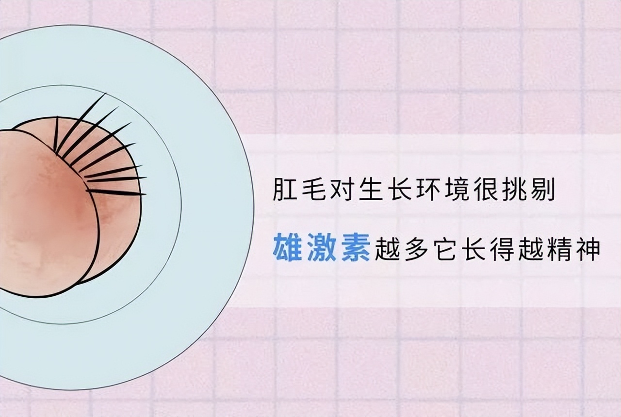 为啥有的人长“屁股毛”，而有的人却不长？为了健康，最好了解下