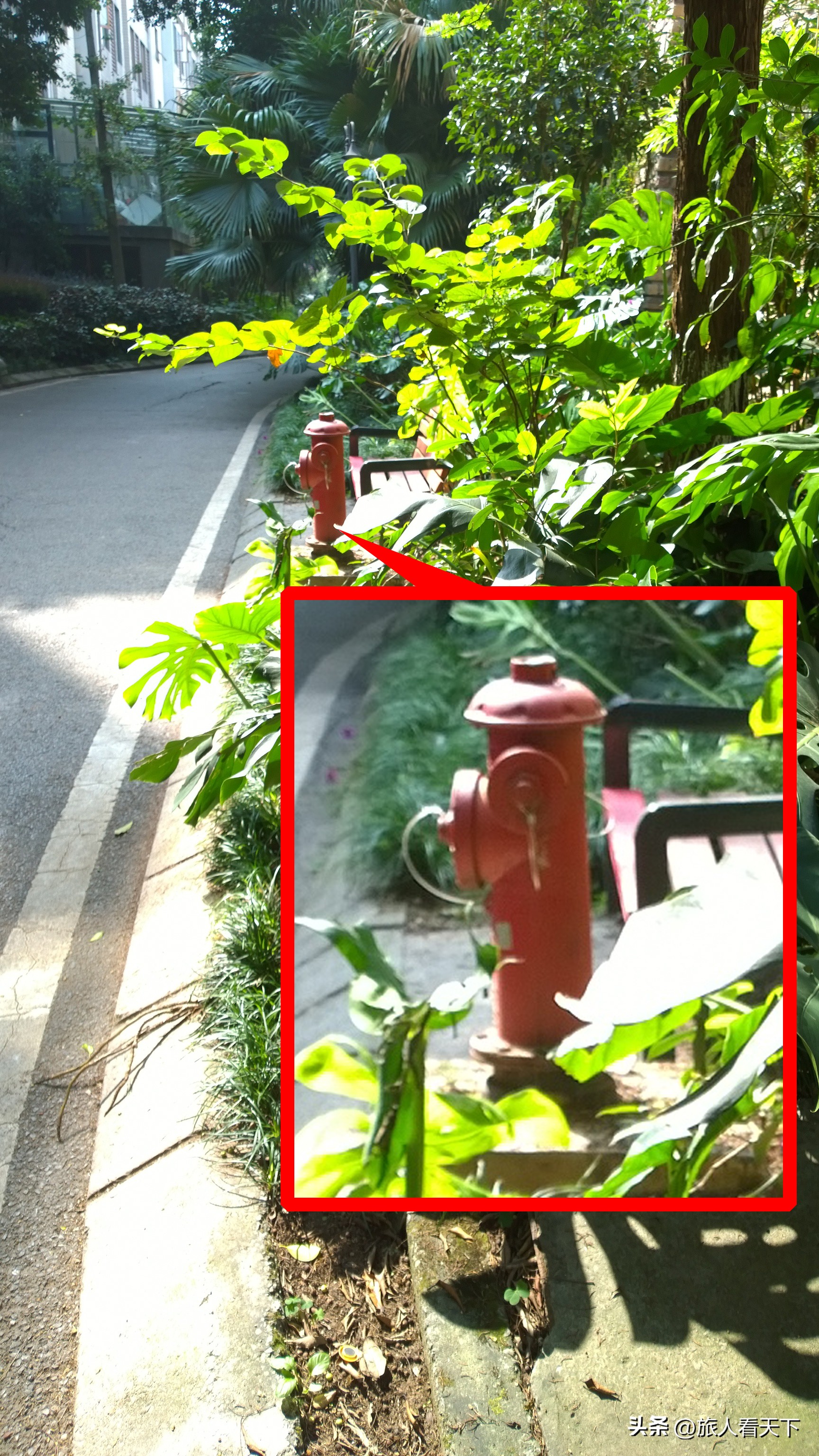 p70拍照对比诺基亚1020,诺基亚1020对比苹果14pro