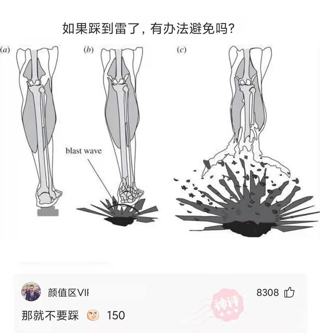 买了一个蚊帐先让室友试试,新买的蚊帐让室友先试试