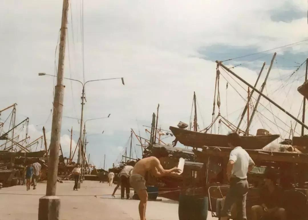 蛇口海上旅游,蛇口海上游深圳