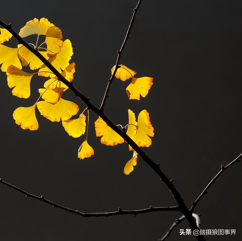 你拍的照片不够唯美,你拍的照片不清晰是怎么回事