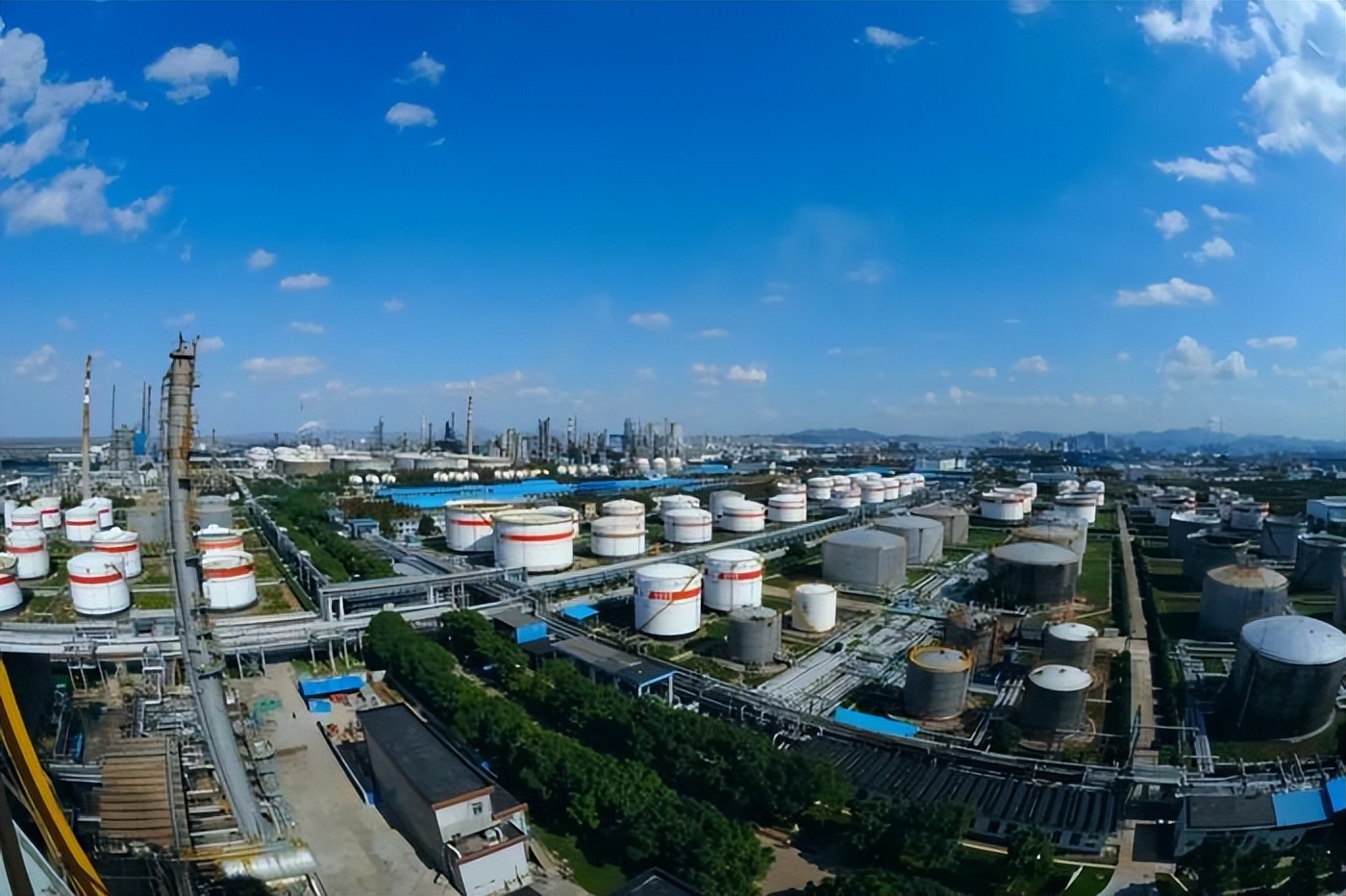 镇海炼化总销售额,镇海炼化一年总收入