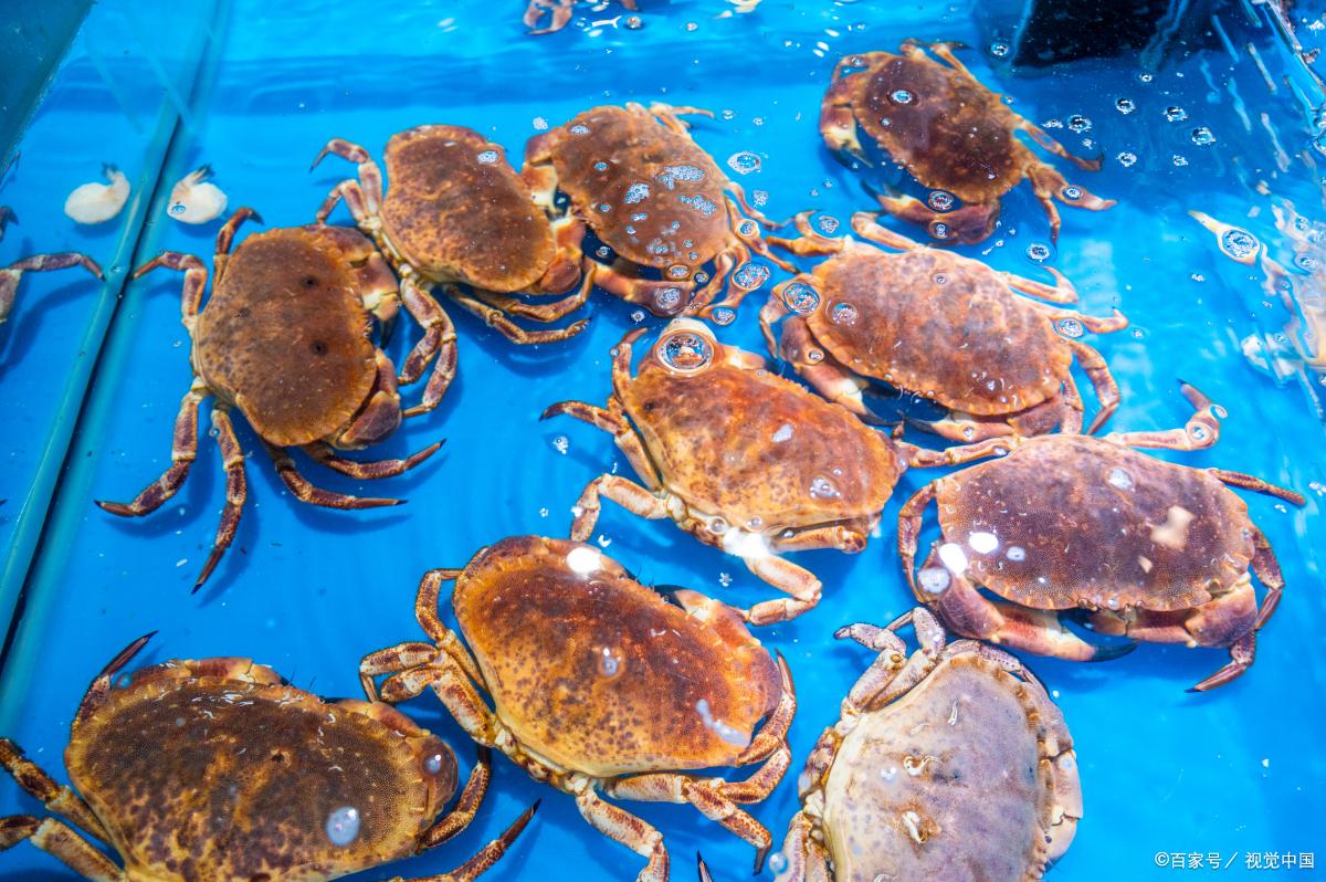 珠海必备特产有哪些,珠海特产有哪些比较值得带