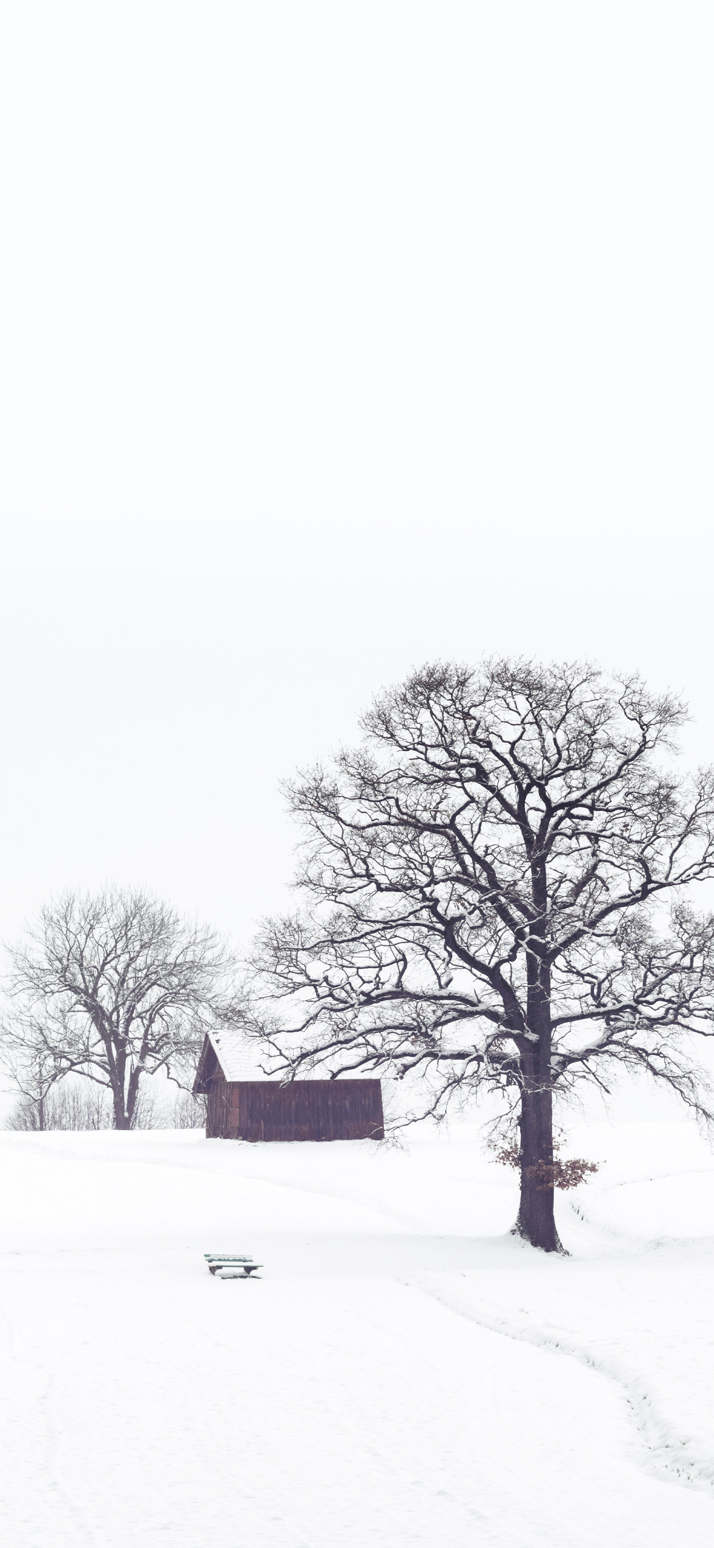 好看的苹果白色壁纸,好看的白色动漫壁纸