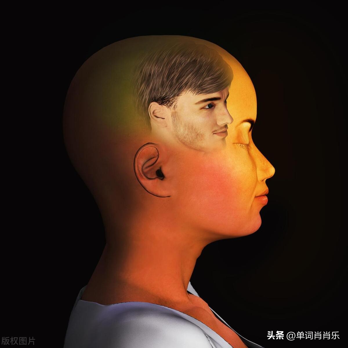 有言有味说单词,有言有味说单词视频