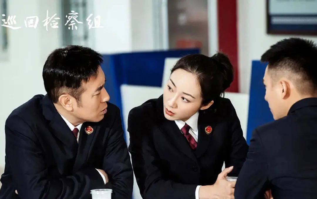 电视剧巡回检察组深度解析,巡回检察组电视剧为什么评分低