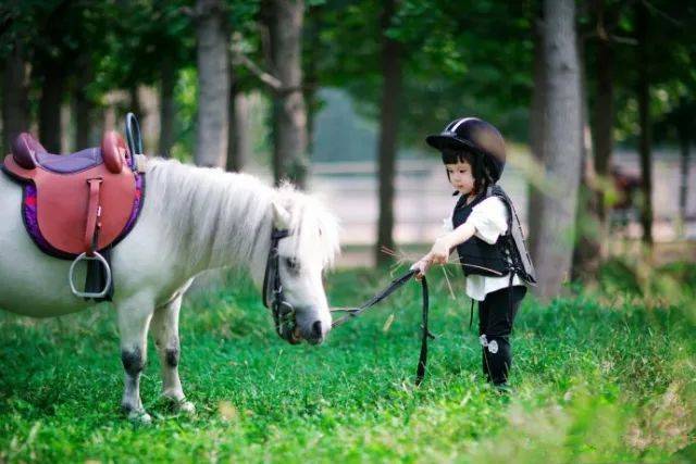 2023华杯赛夏令营,华誉外交官夏令营