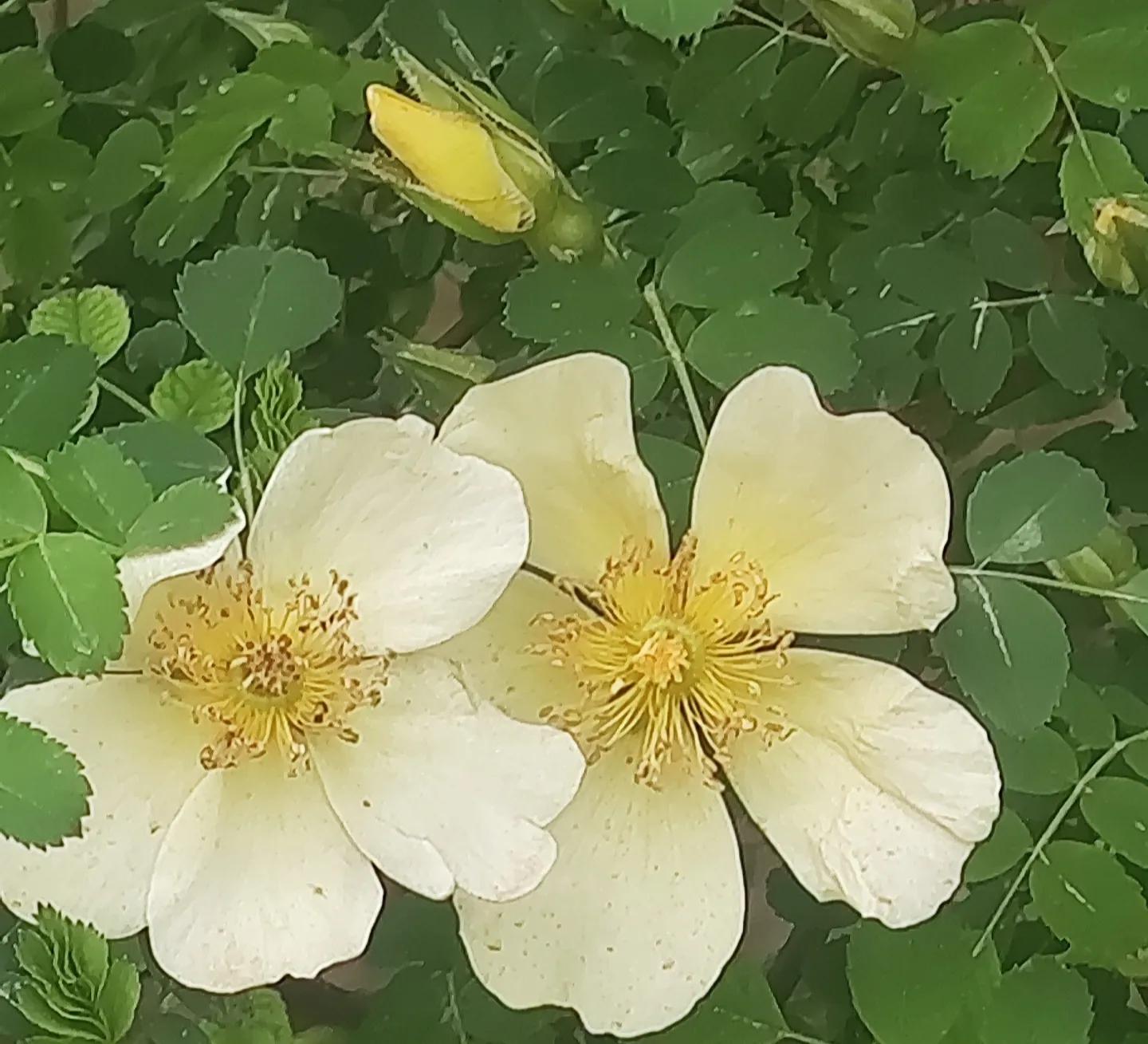 每日一句经典句子简短励志语录,励志语录短句不超过10个字