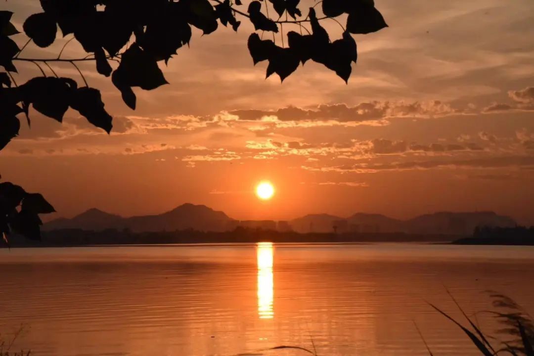 每天一首诗忆江南,每天一首古诗提升记忆力第142首