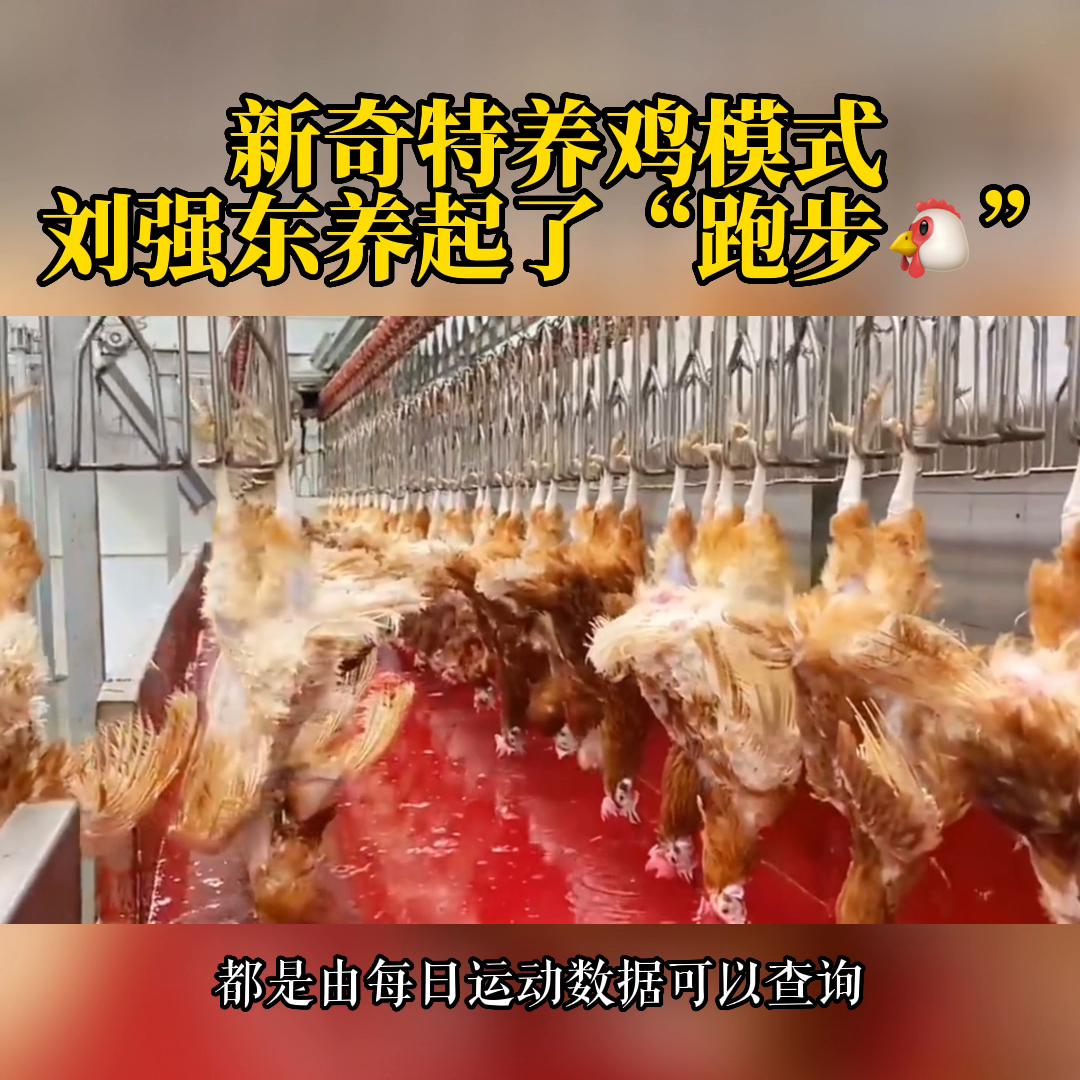 干货分享5吨随车吊价目表,干货分享短视频运营