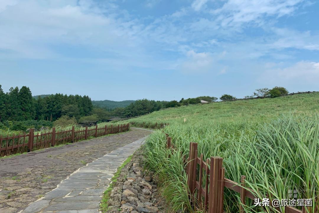 韩国|九月初的济州岛，时有风，偶有雨