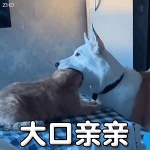 男生的秋裤上为什么有个小洞洞,为什么男生秋裤有小洞洞