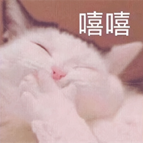 笑夭了～这届世界杯球迷的嘴也太会整活了