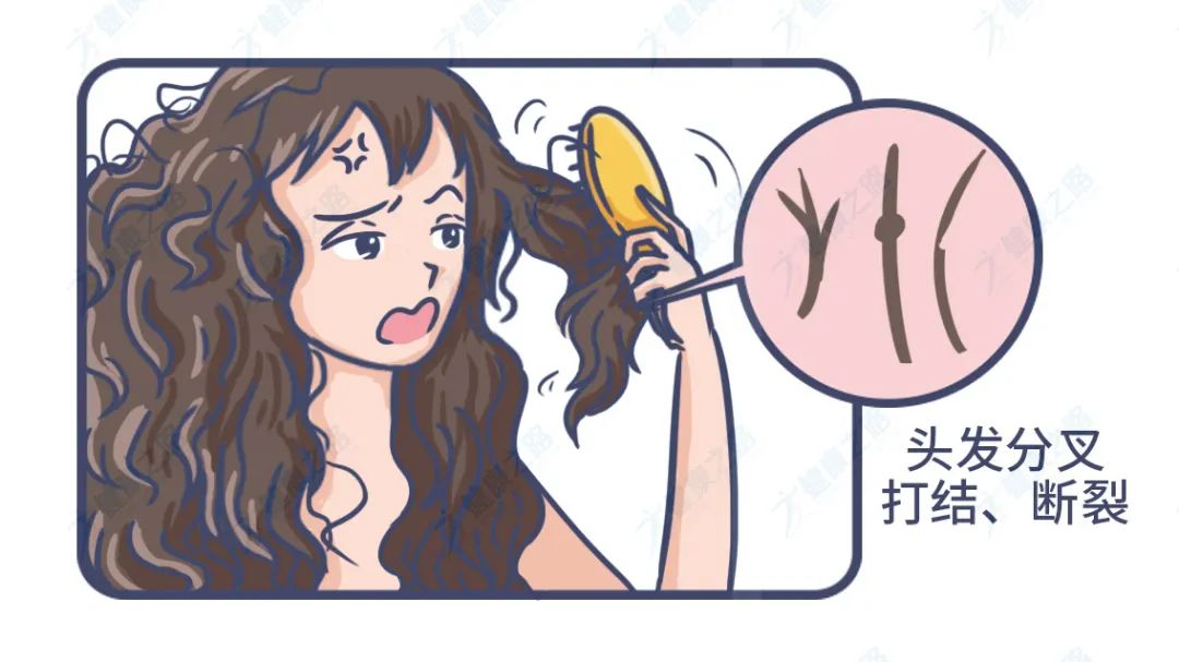 柔顺头发精油护发素和发膜,护发素发膜护发精油适合什么发质