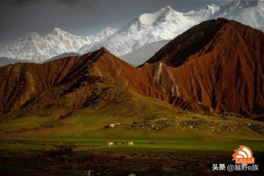 2023环塔拉力赛民丰赛段,环塔拉力赛魔鬼赛段