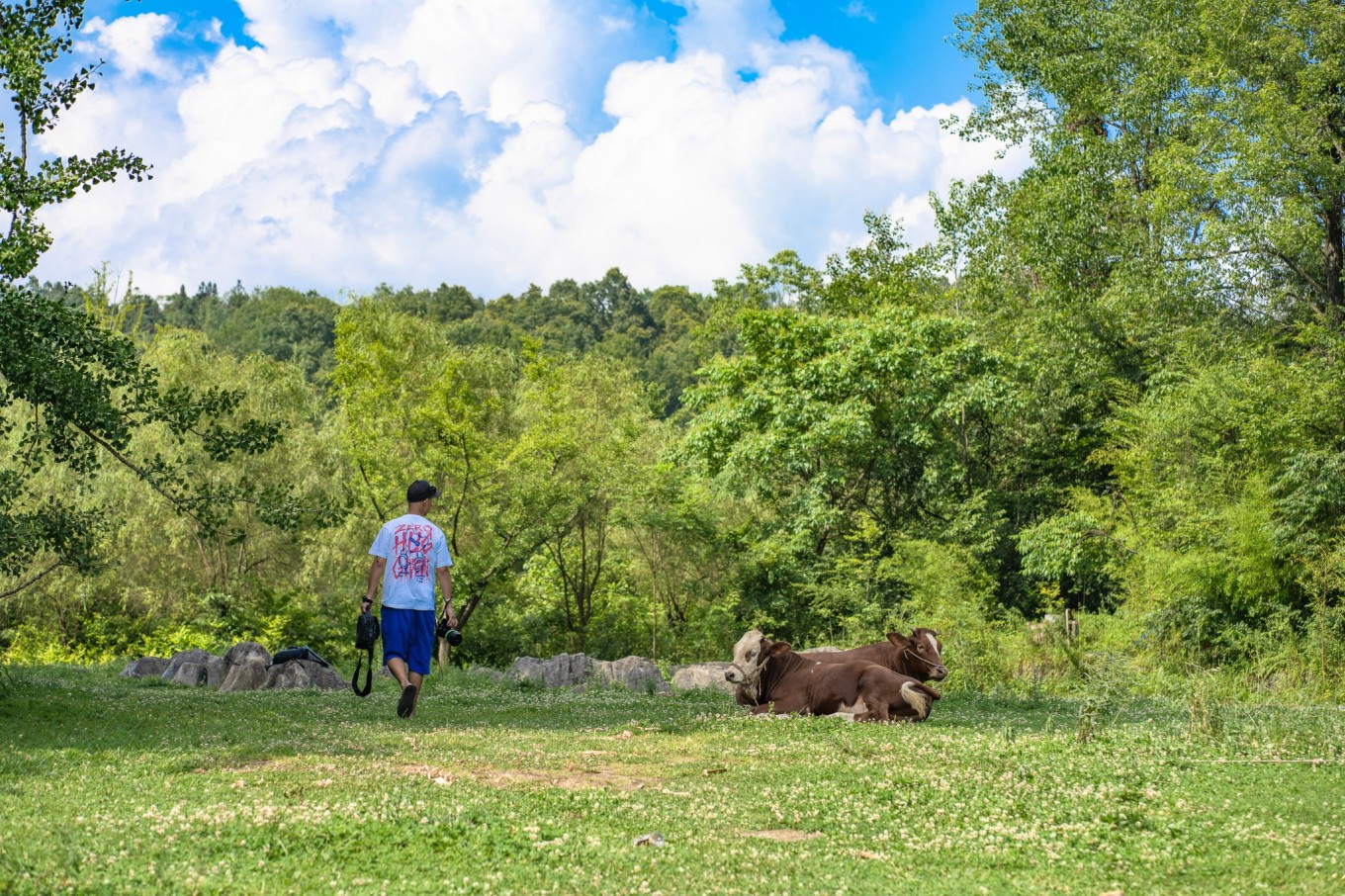 毕节油杉河景区,贵州夏季的避暑景点